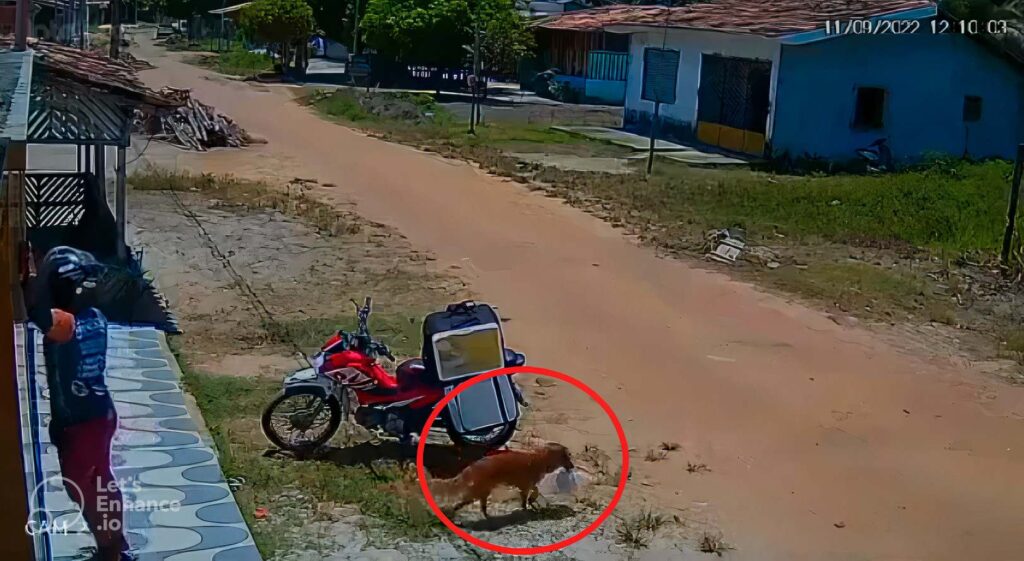 Foto captura de pantalla.